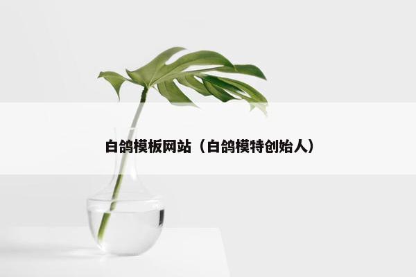 白鸽模板网站（白鸽模特创始人）