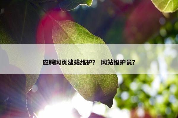 应聘网页建站维护？ 网站维护员？