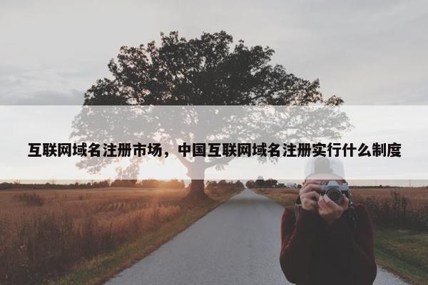 互联网域名注册市场，中国互联网域名注册实行什么制度