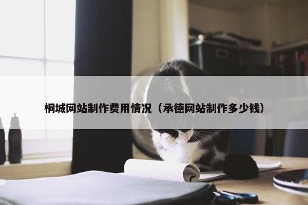 桐城网站制作费用情况（承德网站制作多少钱）