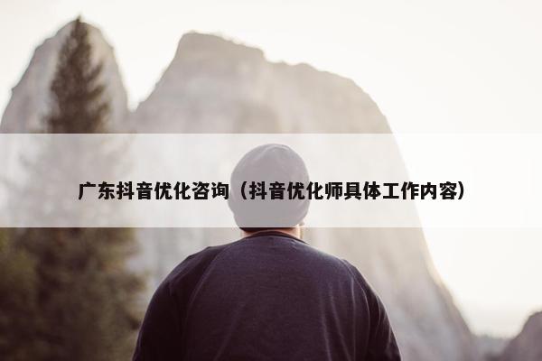 广东抖音优化咨询（抖音优化师具体工作内容）
