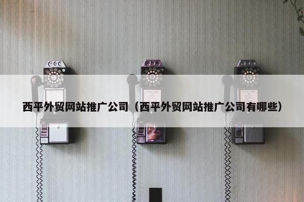 西平外贸网站推广公司（西平外贸网站推广公司有哪些）