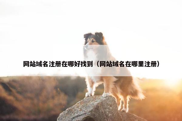 网站域名注册在哪好找到（网站域名在哪里注册）