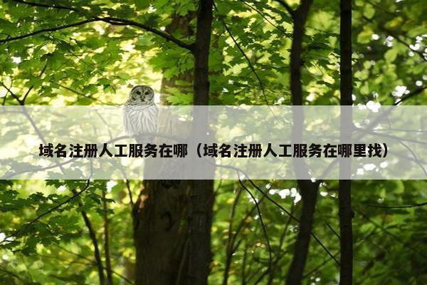 域名注册人工服务在哪（域名注册人工服务在哪里找）
