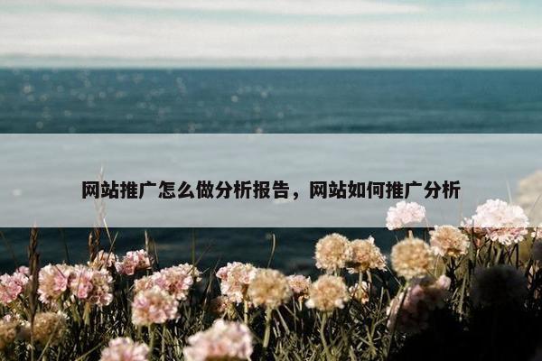 网站推广怎么做分析报告，网站如何推广分析