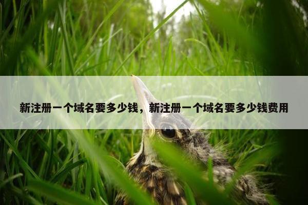 新注册一个域名要多少钱，新注册一个域名要多少钱费用
