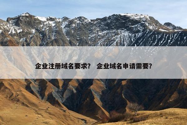企业注册域名要求？ 企业域名申请需要？