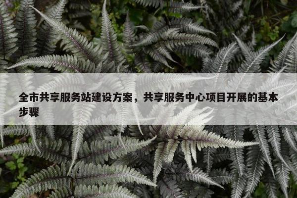 全市共享服务站建设方案，共享服务中心项目开展的基本步骤