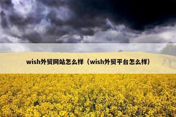 wish外贸网站怎么样（wish外贸平台怎么样）