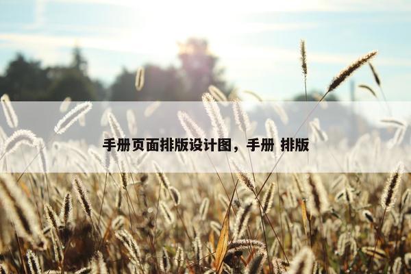 手册页面排版设计图，手册 排版