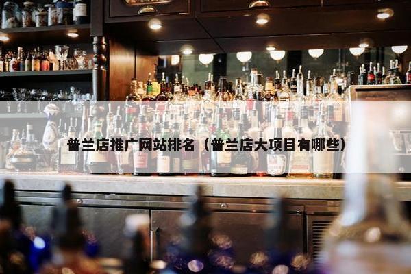 普兰店推广网站排名（普兰店大项目有哪些）