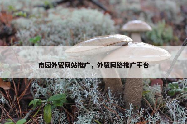 南园外贸网站推广，外贸网络推广平台