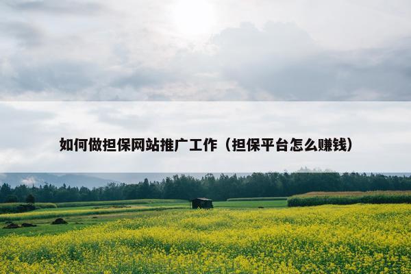 如何做担保网站推广工作（担保平台怎么赚钱）