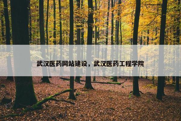 武汉医药网站建设，武汉医药工程学院