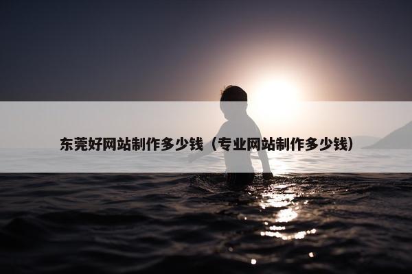 东莞好网站制作多少钱（专业网站制作多少钱）