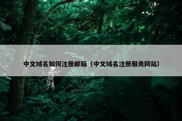 中文域名如何注册邮箱（中文域名注册服务网站）