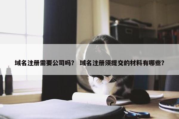 域名注册需要公司吗？ 域名注册须提交的材料有哪些？