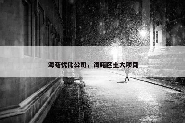 海曙优化公司，海曙区重大项目