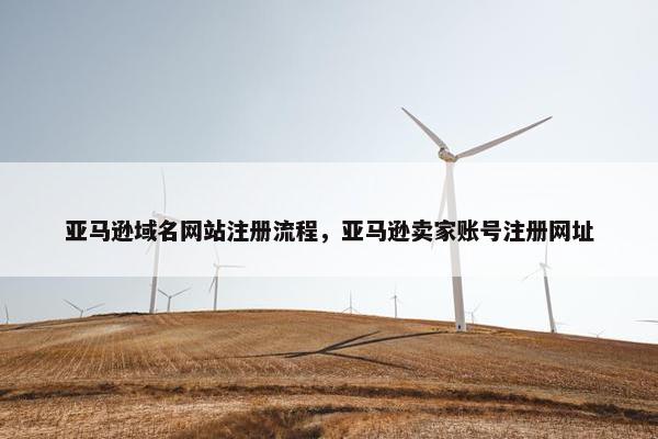 亚马逊域名网站注册流程，亚马逊卖家账号注册网址