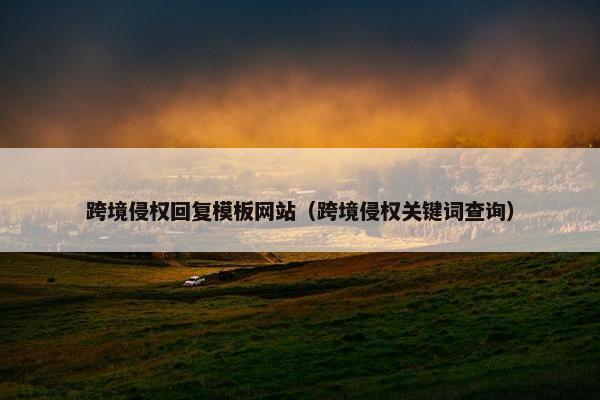 跨境侵权回复模板网站（跨境侵权关键词查询）