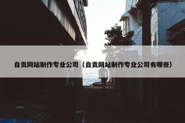 自贡网站制作专业公司（自贡网站制作专业公司有哪些）