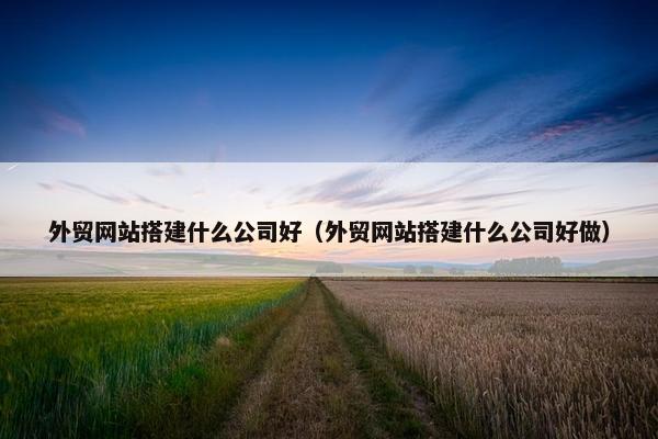 外贸网站搭建什么公司好（外贸网站搭建什么公司好做）