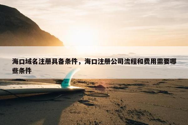 海口域名注册具备条件，海口注册公司流程和费用需要哪些条件