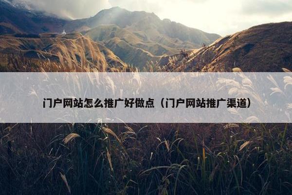 门户网站怎么推广好做点（门户网站推广渠道）