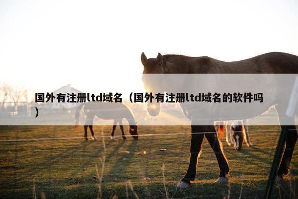 国外有注册ltd域名（国外有注册ltd域名的软件吗）
