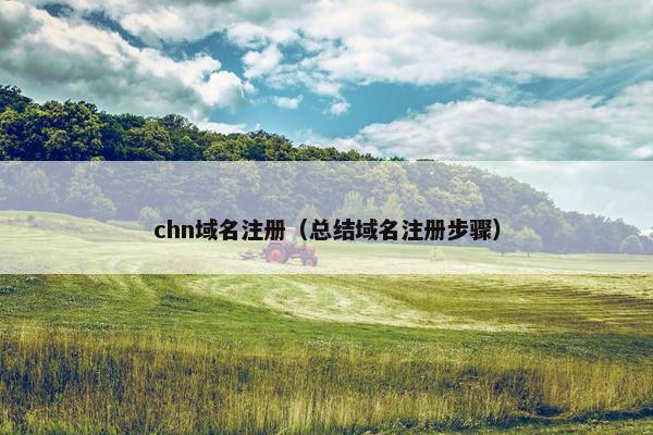 chn域名注册（总结域名注册步骤）