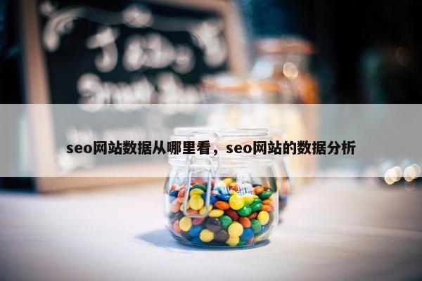 seo网站数据从哪里看，seo网站的数据分析