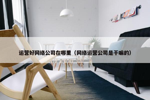 运营好网络公司在哪里（网络运营公司是干嘛的）