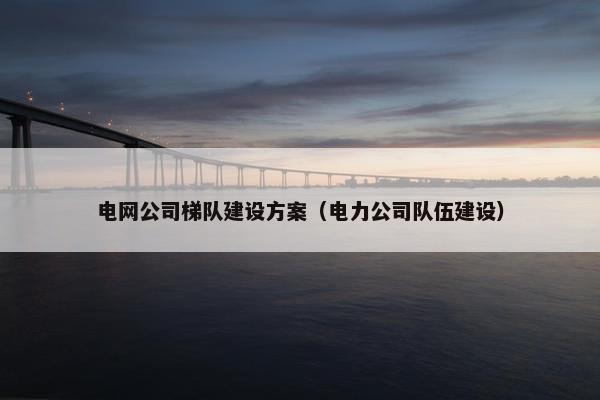 电网公司梯队建设方案（电力公司队伍建设）