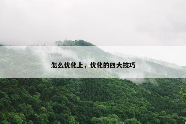 怎么优化上，优化的四大技巧
