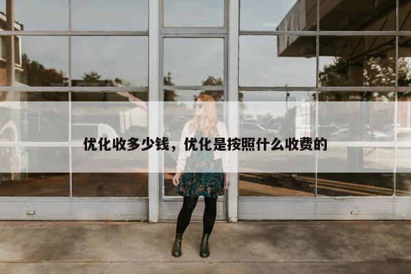 优化收多少钱，优化是按照什么收费的