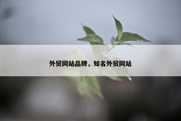外贸网站品牌，知名外贸网站