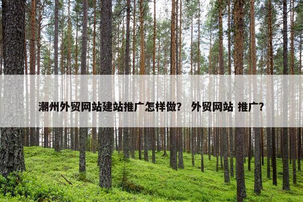 潮州外贸网站建站推广怎样做？ 外贸网站 推广？