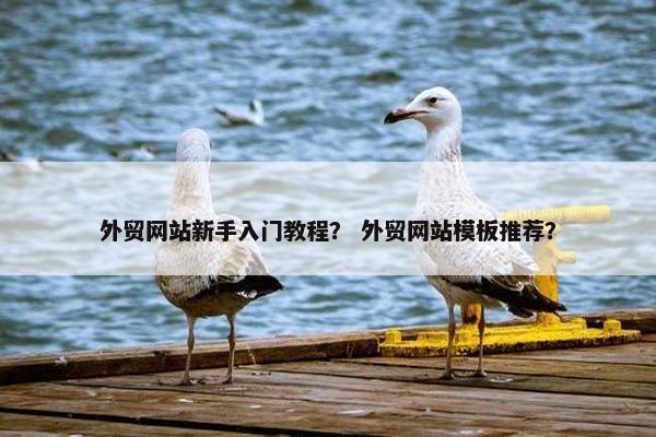 外贸网站新手入门教程？ 外贸网站模板推荐？