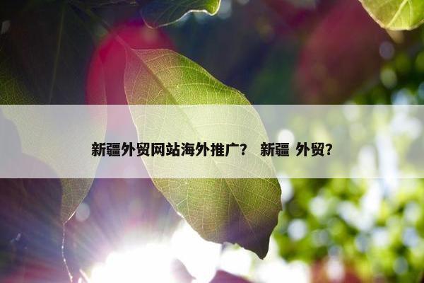 新疆外贸网站海外推广？ 新疆 外贸？