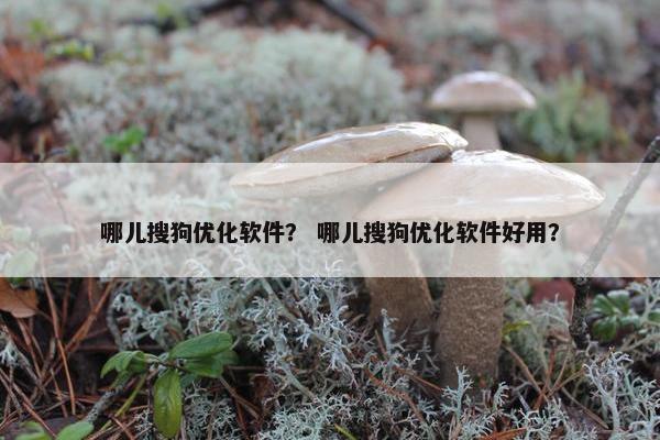 哪儿搜狗优化软件？ 哪儿搜狗优化软件好用？