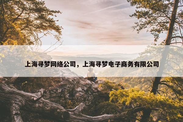 上海寻梦网络公司，上海寻梦电子商务有限公司