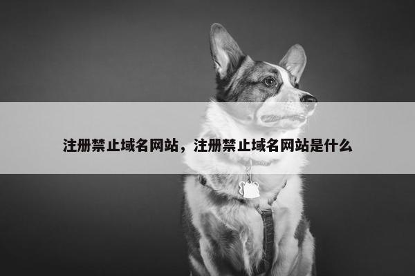 注册禁止域名网站，注册禁止域名网站是什么