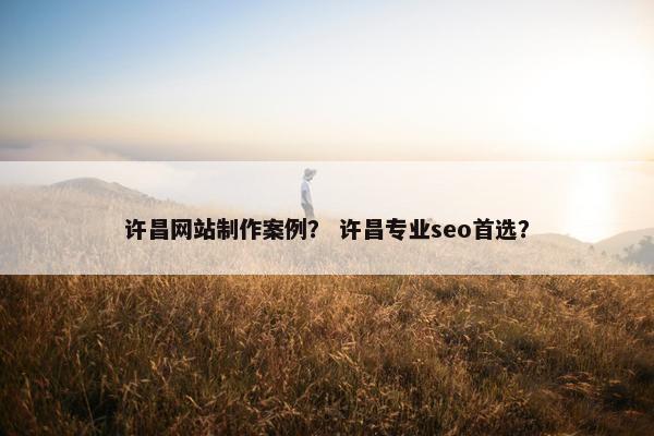 许昌网站制作案例？ 许昌专业seo首选？