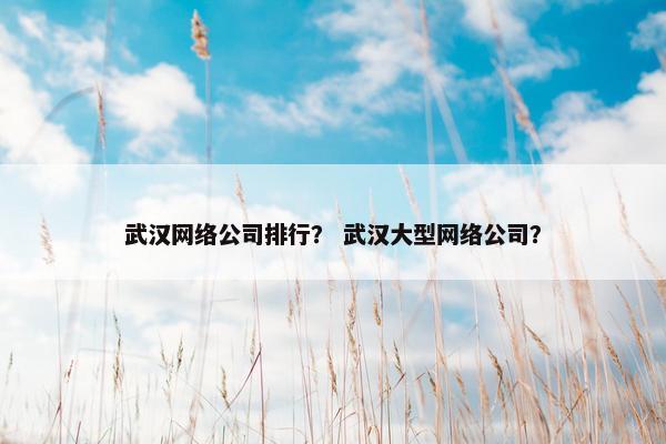 武汉网络公司排行？ 武汉大型网络公司？