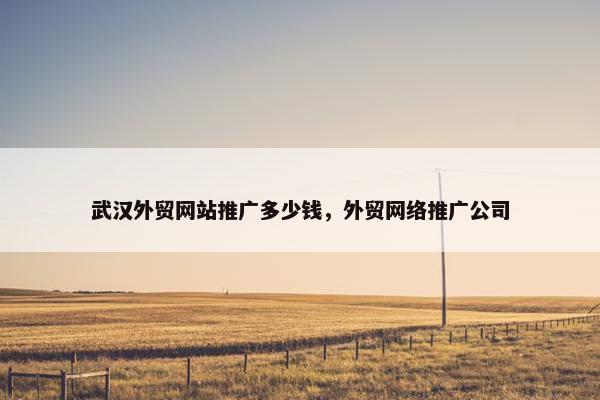 武汉外贸网站推广多少钱，外贸网络推广公司