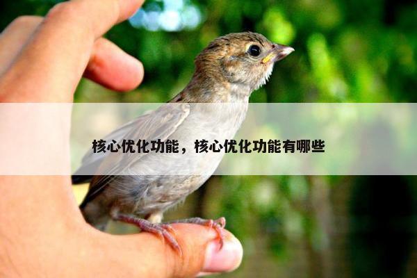 核心优化功能，核心优化功能有哪些