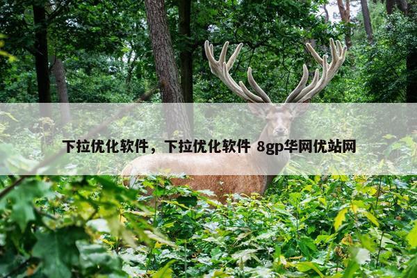 下拉优化软件，下拉优化软件 8gp华网优站网
