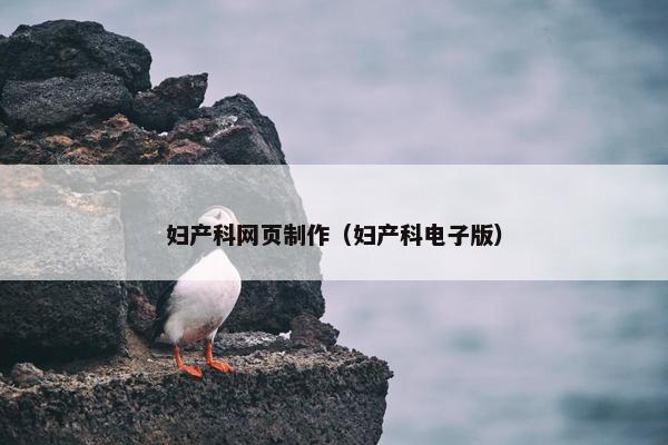 妇产科网页制作（妇产科电子版）