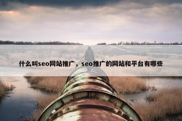 什么叫seo网站推广，seo推广的网站和平台有哪些
