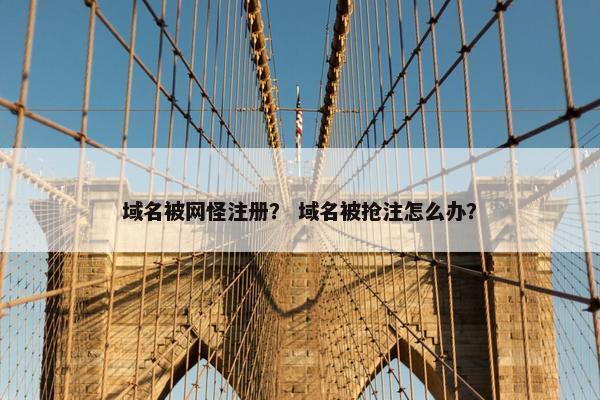 域名被网怪注册？ 域名被抢注怎么办？